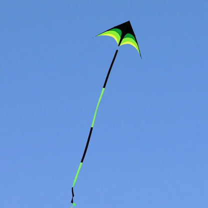 Large Tail Kite
